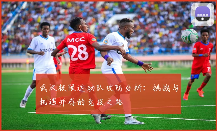 武汉极限运动队攻防分析：挑战与机遇并存的竞技之路