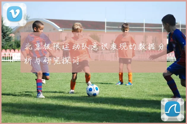 北京极限运动队意识表现的数据分析与研究探讨