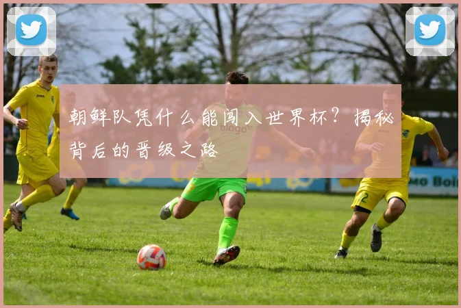朝鲜队凭什么能闯入世界杯？揭秘背后的晋级之路